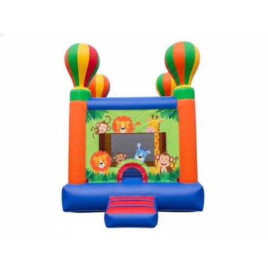 Indoor Inflatable Bouncer