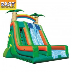 Topical Dual Lane Dry Slide Topical Dual Lane Dry Slide