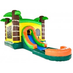 Backyard Commerical Tropical Castle