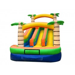 Jungle Dual Lane Water Slide
