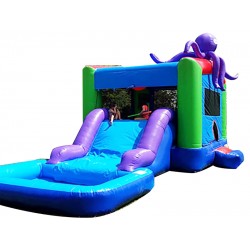 Octopus Inflatable Water Slide Combo