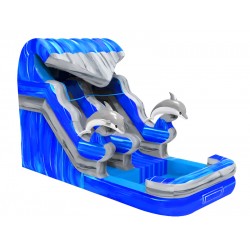 Dolphin Wave Water Slide