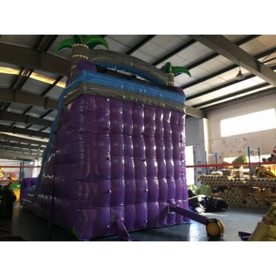 Purple Marble Dual Lane Inflatable Dry Slide Purple Marble Dual Lane Inflatable Dry Slide