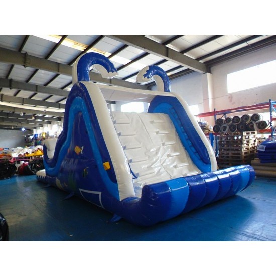 Backyard Inflatable Pool Slide