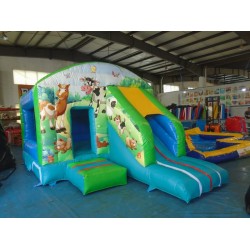 Farm Bouncy Castle Slide