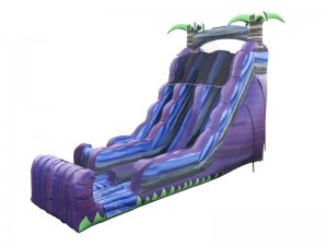 How much does an inflatable water slide cost?