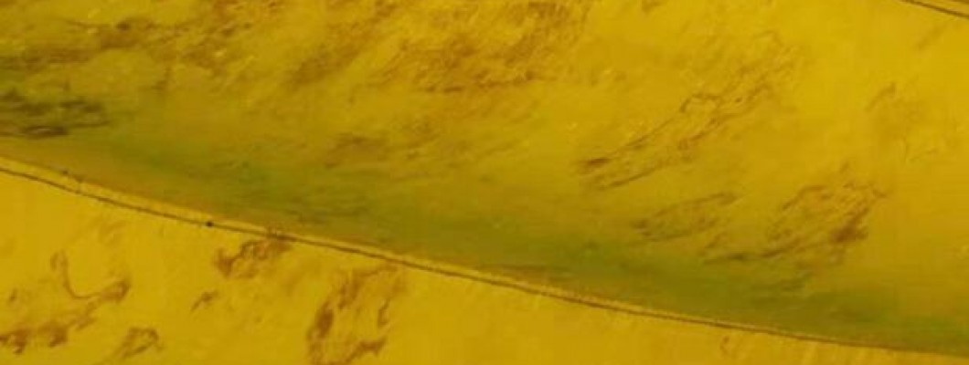 How do you keep inflatables from mildewing? How do you keep inflatables from mildewing?