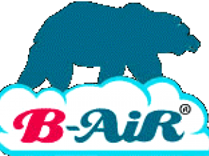 Introduction of B-Air Introduction of B-Air