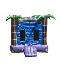 Commercial Bounce House For Sale