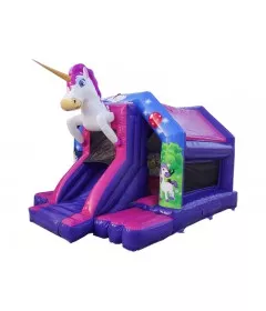 Bouncy Castle With Slide